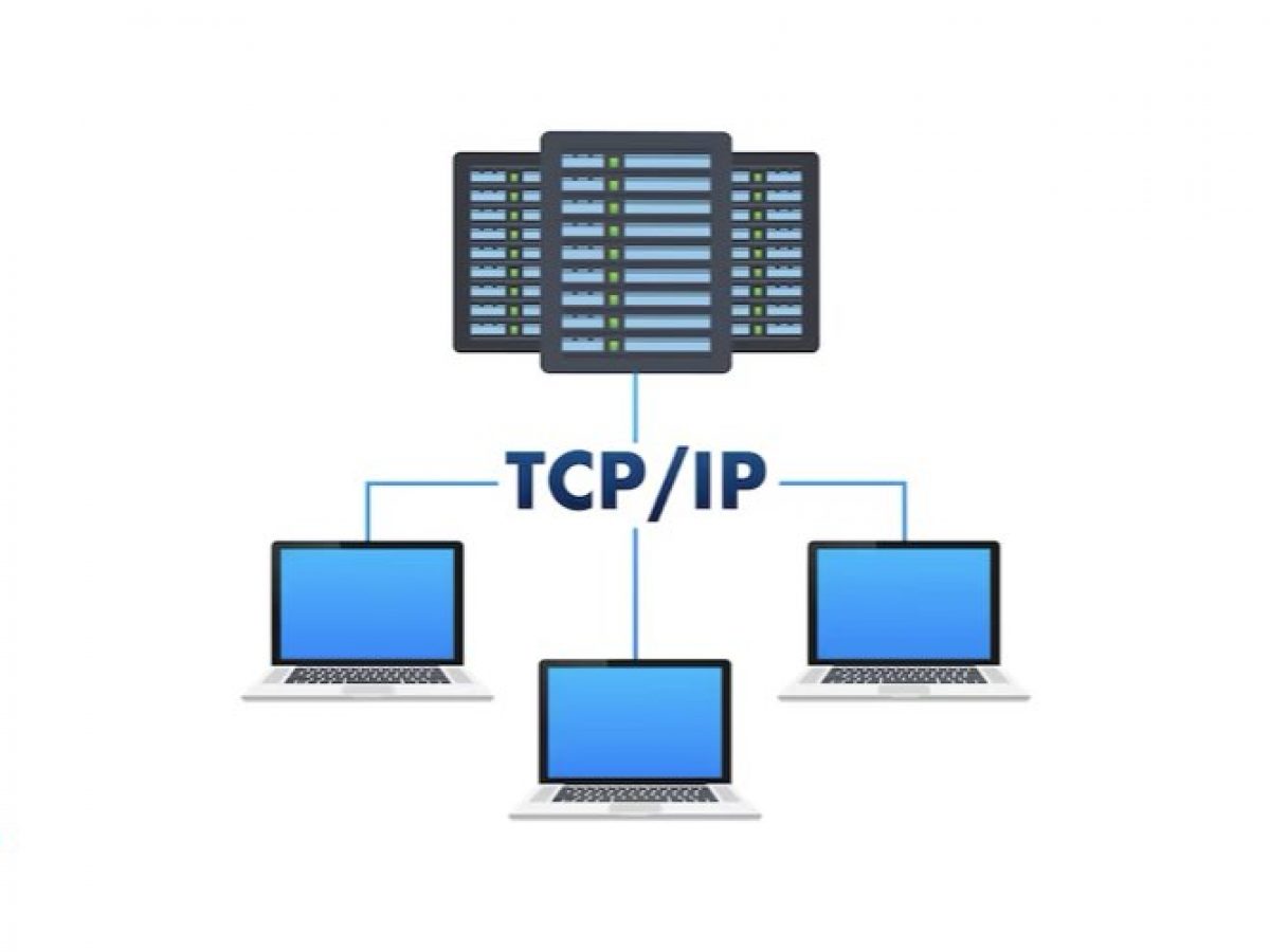 TCP/IP Nedir?  Bilişim Teknolojileri Staj Dosyası